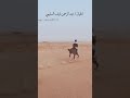 خيل وخيال طرب