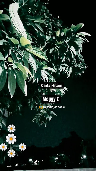 Cinta Hitam - Meggy Z #shorts #lagu #dangdut #lawas