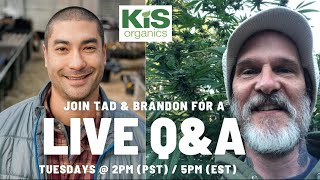 Q and A Live with KiS Organics