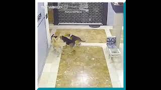 Sen Benim Çocukluktan Arkadaşımsın Ulan