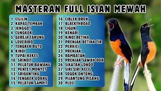 🔴 MASTERAN PALING LENGKAP ‼️ FULL ISIAN MURAI BATU GACOR