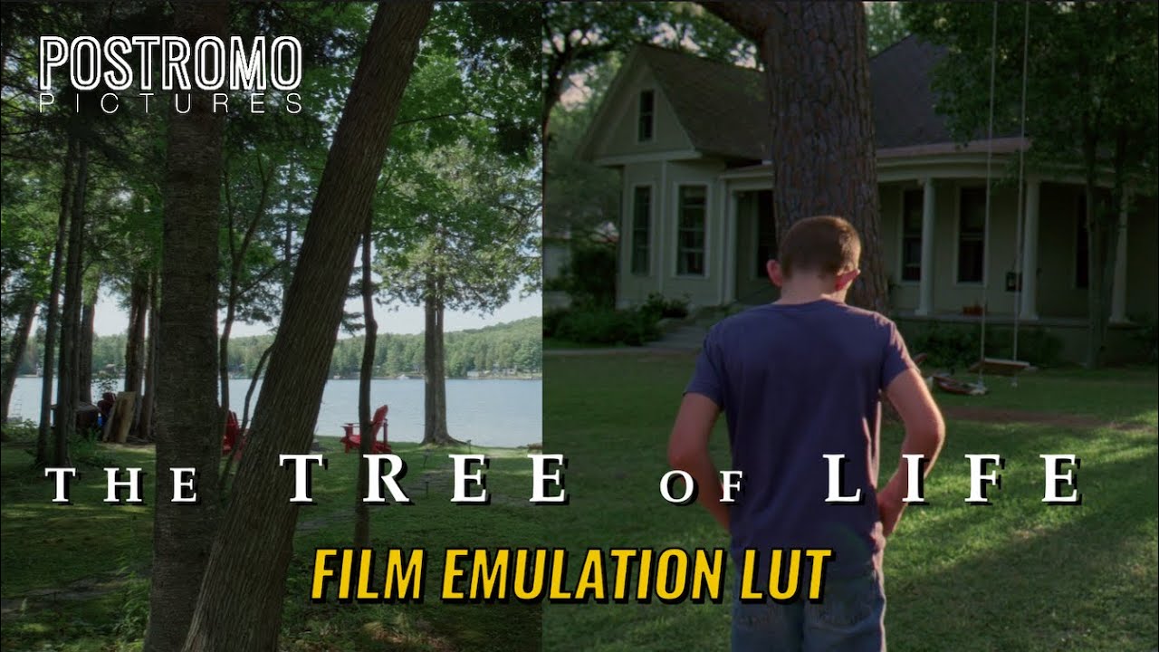 PostromoEm TREE OF LIFE Lut now available!