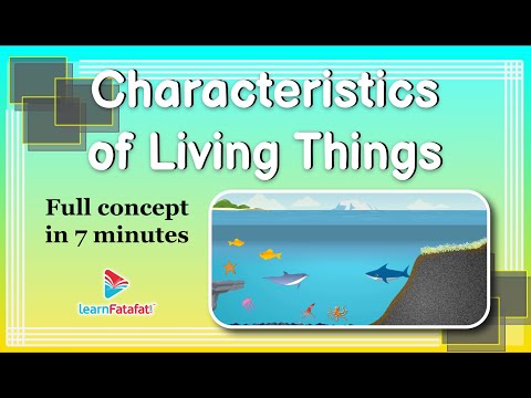 Video: Hvad er de 6 kendetegn ved alle levende ting?