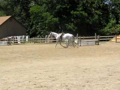 Pre-Childrens Eq. OverFences Course 1