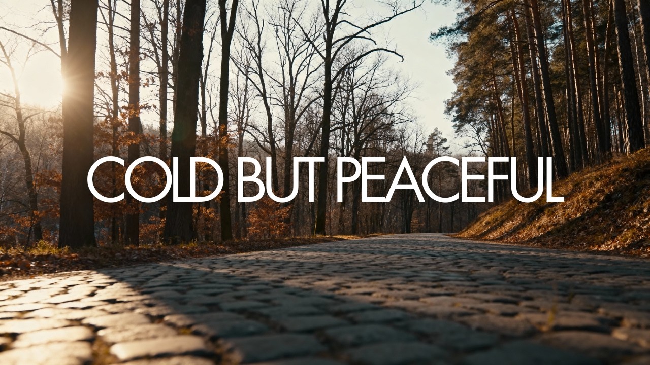 Cold but Sunny Winter Morning | Solo Walk Vlog