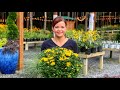 Nursery Tour of Perennials at Creekside Nursery // Gardening with Creekside