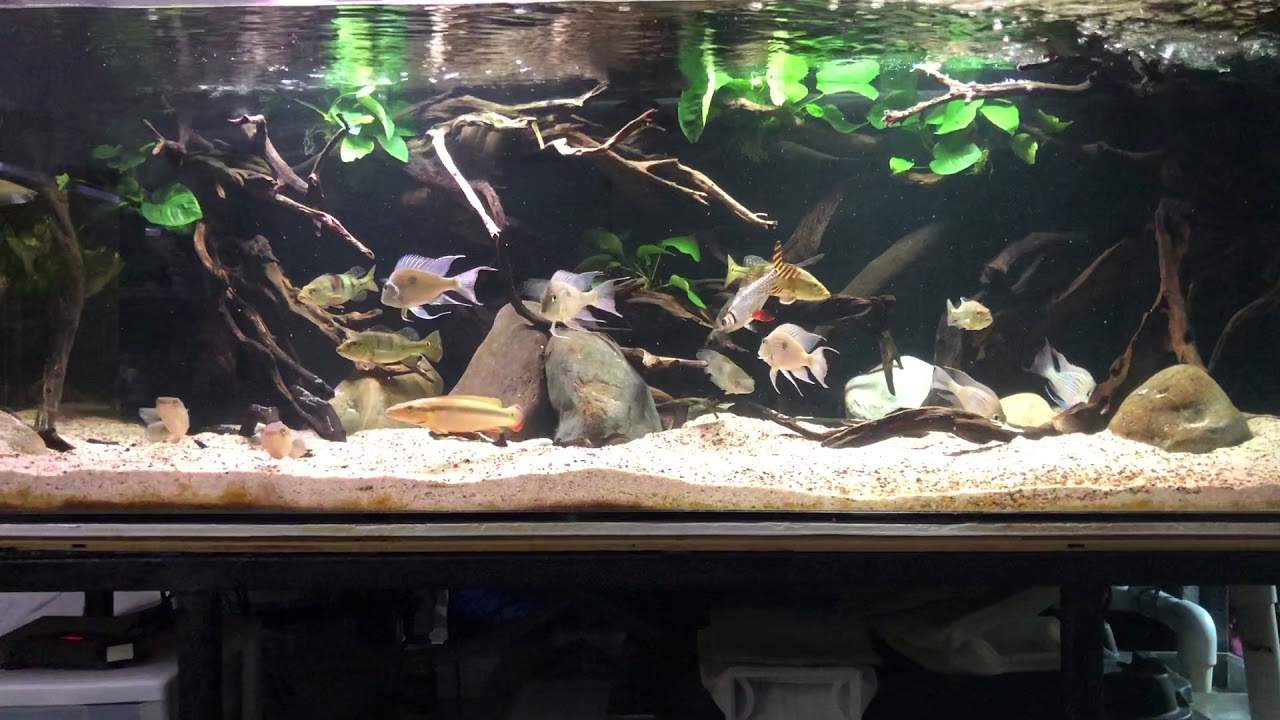 280 SA River:  6/18/18