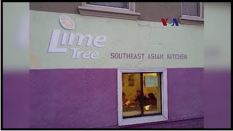 Lime Tree: Restoran Milik Diaspora Indonesia di San Fransisco