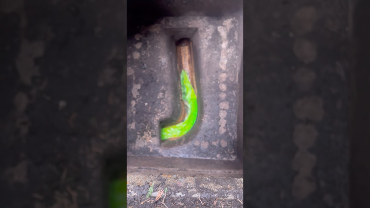 RAT FLAP!!!! 🐀⛔️