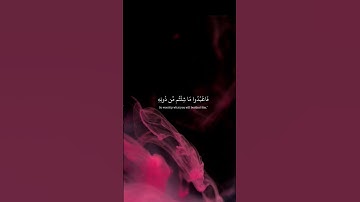 ماهر المعيقلي سورة الزمر #قران_كريم #تلاوة_خاشعة #ماهر_المعيقلي #القرآن_الكريم