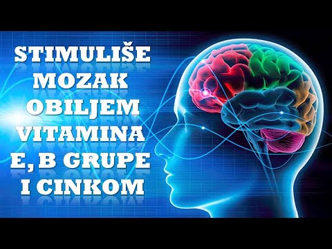 NAJBOLJI ENERGETSKI NUTRIJENT ZA RAD MOZGA I MENTALNU SNAGU! Dr Mihajlović