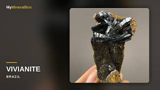 Video preview: Dark Green Vivianite on Boat-Shaped Matrix — Brazil
