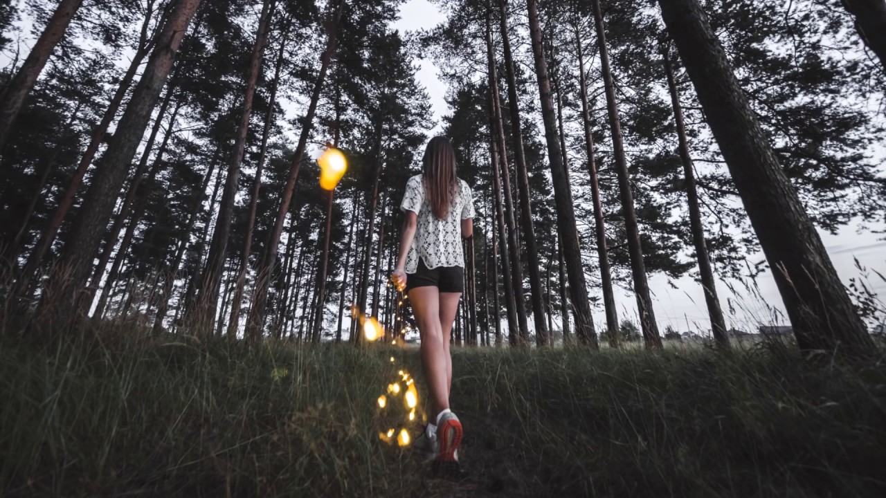 Wayr - Follow the Light