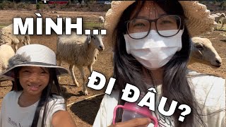 DAILY VLOG: HÔM NAY LINH ĐAN ĐÃ QUÁ LÀ CAN ĐẢM… ( unbelievable)