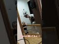 お土産付きで仕事帰りのお父さんを迎える40歳（？）の次男😂#ふじやま家族 #子育て #日常生活 #育児