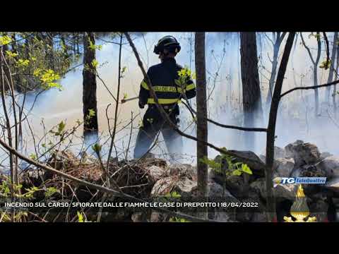 INCENDIO SUL CARSO: SFIORATE DALLE FIAMME LE CASE DI PREPOTTO | 16/04/2022