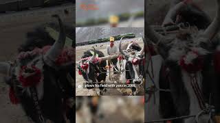 Why the Qinghai-Xizang Railway a miracle? Why the Qinghai-Xizang Railway a miracle?