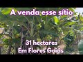 A venda esse sítio de 31 hectares - Em Flores Goiás