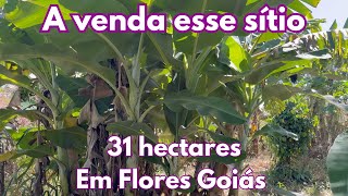 A venda esse sítio de 31 hectares - Em Flores Goiás