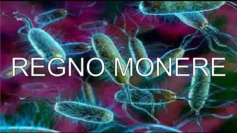 Quante sono le monere?