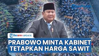 Prabowo Dorong Menteri Tetapkan Harga Sawit dan Nikel Secara Mandiri, Tak Ditentukan Negara Lain
