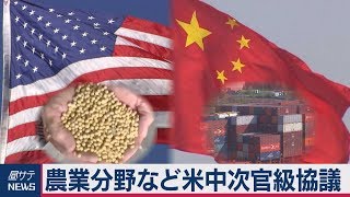 農業分野など米中次官級協議　ワシントンで始まる