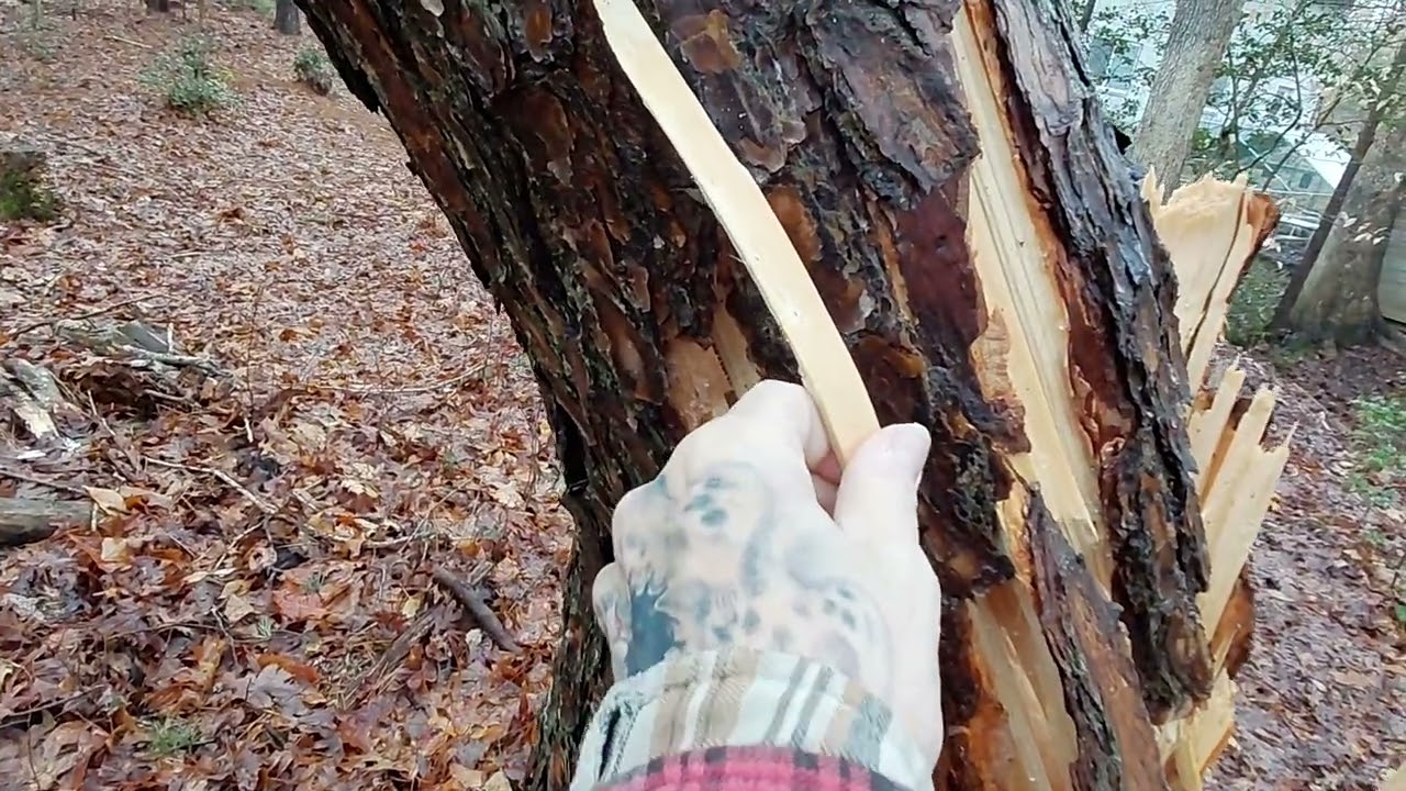 PT2 MARCH 4TH..THE SQUATCH.S ARE VERY ACTIVE 