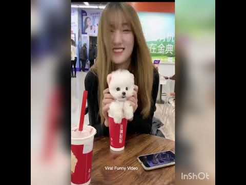 Pet's cute ️ð
- YouTube