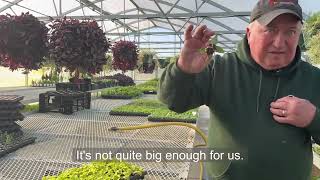 Tour of Dill's Greenhouse - Behind The Scenes