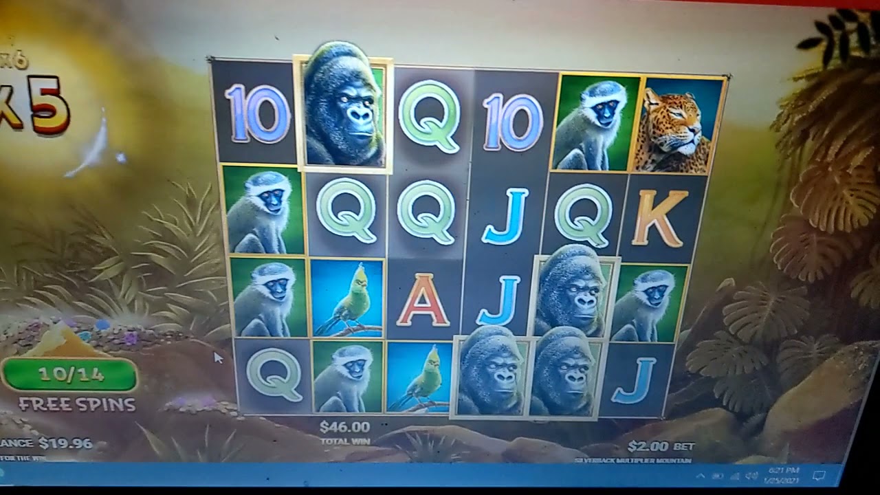 silverback Multiplier Mountain slot on golden tiger online casino (10 free spins)