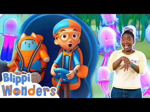 Blippi Explores the Ocean! 🪼🌊 Learn ASL & Baby Sign Language for Kids