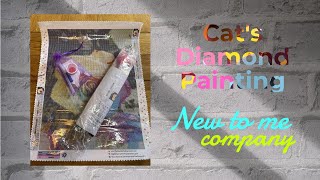 UNBOXING RAINBOW ROSE TASTER KIT FROM THE ONE WITH THE DIAMOND ART - new-to-me company