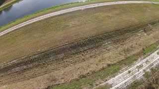 drone video of 2 florida panthers
