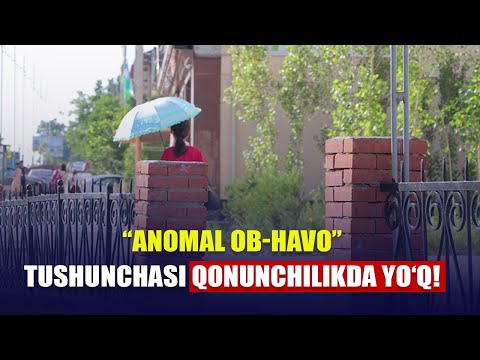 Video: Qanday Hayvonlar Himoyaga Muhtoj