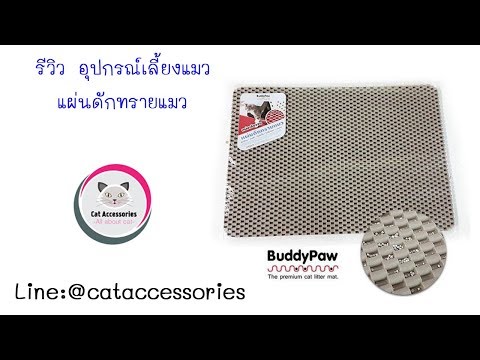 เลี้ยงแมว Cat Accessories อุปกรณ์เลี้ยงแมว รีวิวแผ่นดักทรายแมว