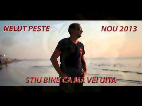 NELUT PESTE - STIU BINE CA MA VEI UITA