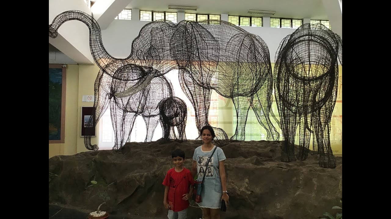 Regional Museum Of Natural History Mysore  RMNH   Temporary Exhibitions Full Video