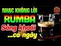 Nhạc Rumba Không Lời Buổi Sáng Sảng Khoái Cả Ngày | Hòa Tấu Rumba Guitar Không Lời Uống Cà Phê