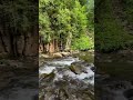 Гірський потік