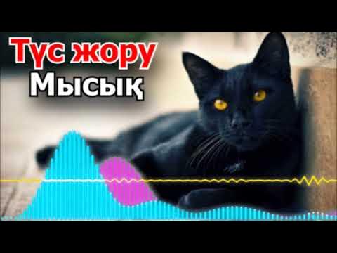 Transeksüel Дана Scat порно копро