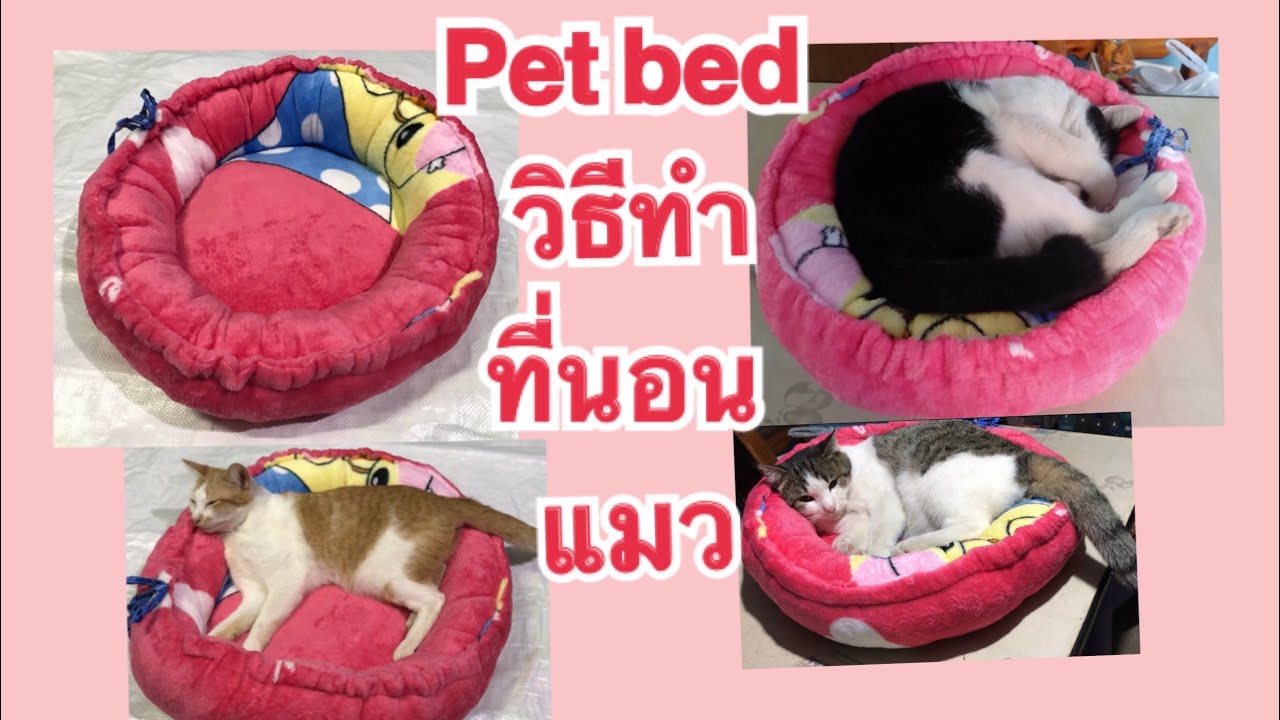 วิธีทำที่นอนแมว Pet Bed ที่นอนสัตว์เลี้ยง ทำง่ายมากค่ะ