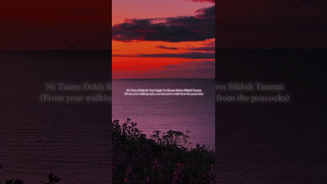 Admiring You Karan Aujla Lyrics Song Shorts Karanaujla Aesthetic