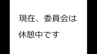 都市・環境常任委員会（平成３１年３月４日①）