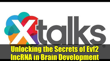 Unlocking the Secrets of Evf2 lncRNA in Brain Development