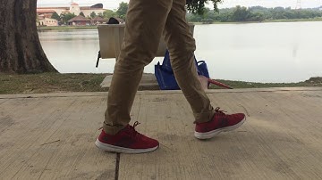 Assignment 02 TBMM 3113 - 15 Types of Shooting Techniques and Camera Movements