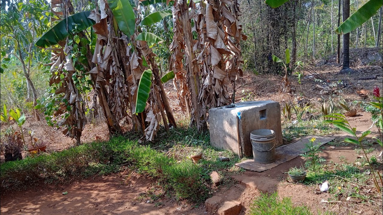 You tubel. നിന്ന് വരുമാനം കിട്ടുമോ എന്ന് ചോദിച്ചവരോട്. Syamas#vlogmalayalam