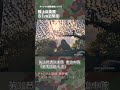 81mm迫撃砲 陸上自衛隊 81M 実弾射撃 弾着 #military #jsdf #shorts