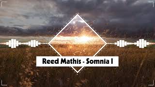 Reed Mathis - Somnia I (No Copyright Music)