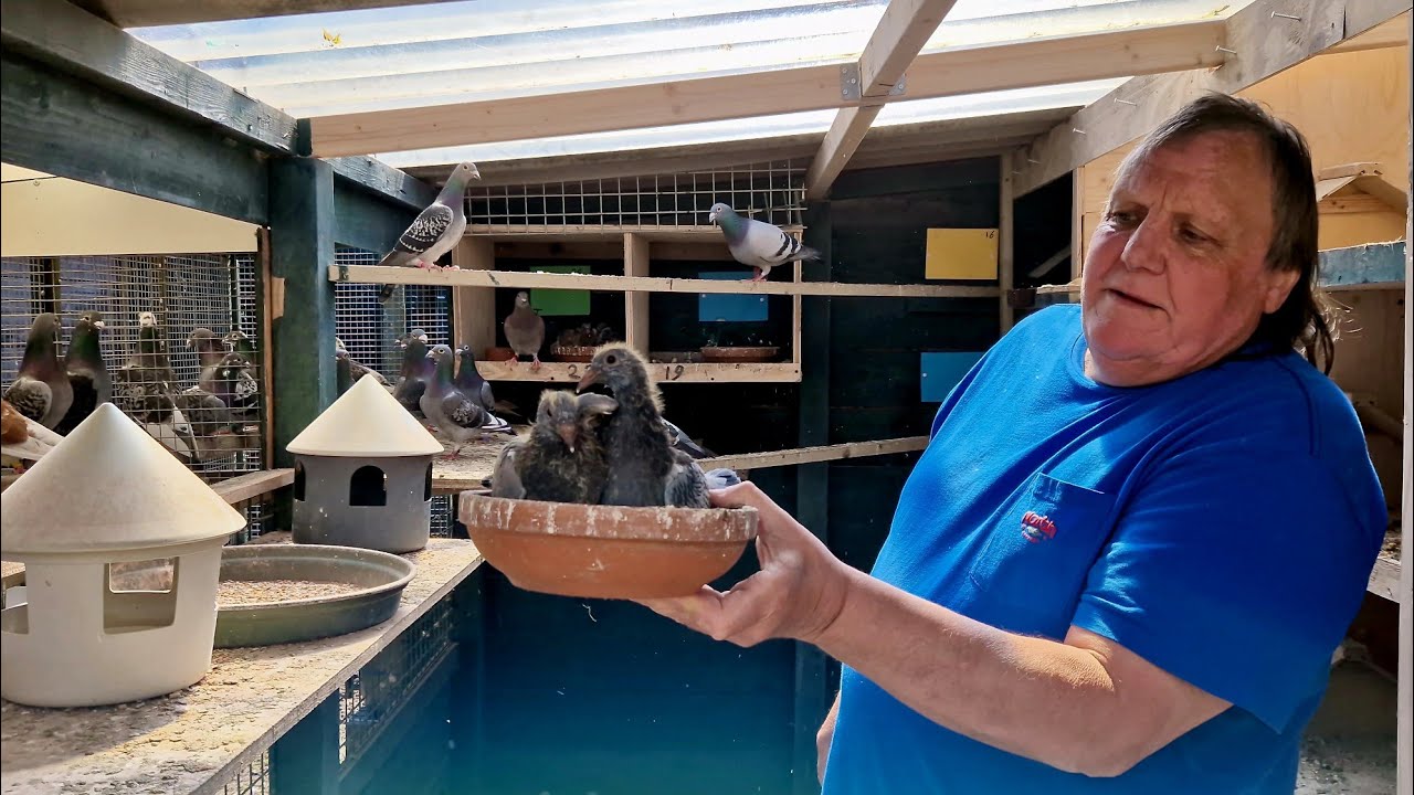 Bir Şampiyon Olmak istiyorsanız! 