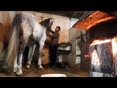 Video: Atlarda Kaldırım